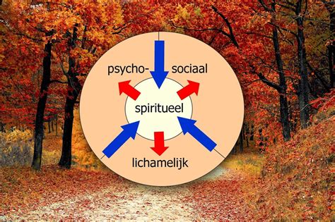 Infographic die de verschillende aspecten van de geestelijke betekenis van psalmzang illustreert: aanbidding, troost, gemeenschap, vorming.