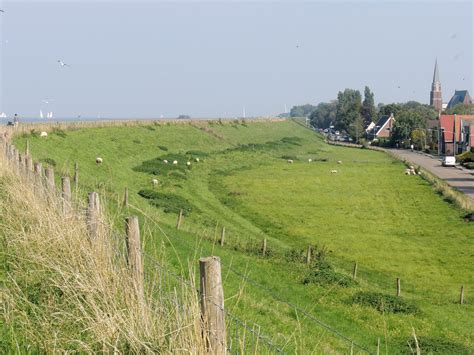 Collage van boekenkaften van Franca Treur, met op de achtergrond een weids Zeeuws landschap.