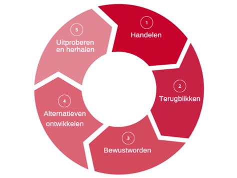 schema met de stappen in het euthanasieproces en de rol van de Levenseindekliniek