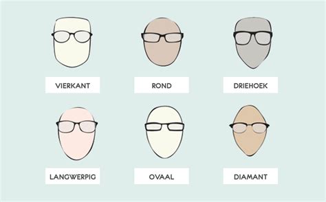 Illustratie van verschillende brillen die de Bijbel symbolisch voorstellen, elk met een andere focus.