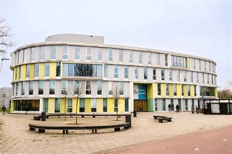 Infographic met de verschillende beroepsprofielen van Focus Beroepsacademie