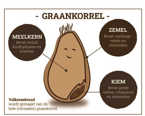 Symbolische afbeelding van een graankorrel die sterft en uitgroeit tot een plant met veel zaadjes