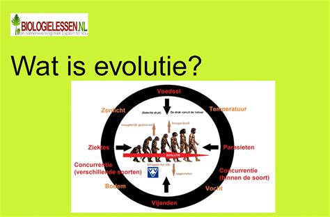 Infographic over de evolutie van gereformeerde opvattingen over plezier