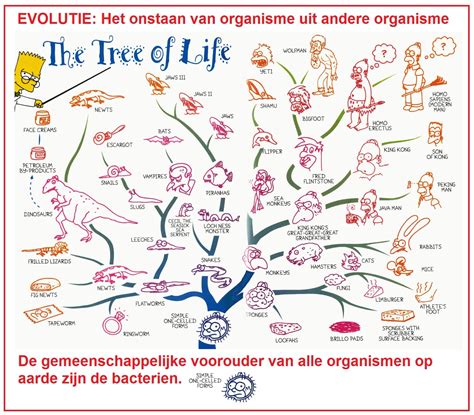 infographic over de evolutie van de rol van geloof in de samenleving