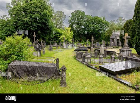fotografie van de algemene begraafplaats Terborg met oude grafstenen