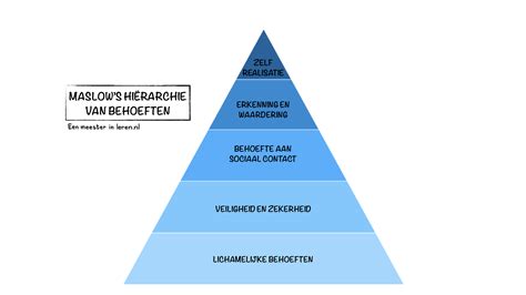 Infographic die de hiërarchie binnen een bedrijf toont, met de CFO onder de CEO