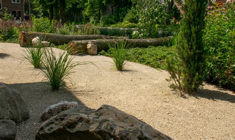 Artistieke weergave van een ellips met natuurlijke elementen zoals hazelaar, katjes en hyacinten.