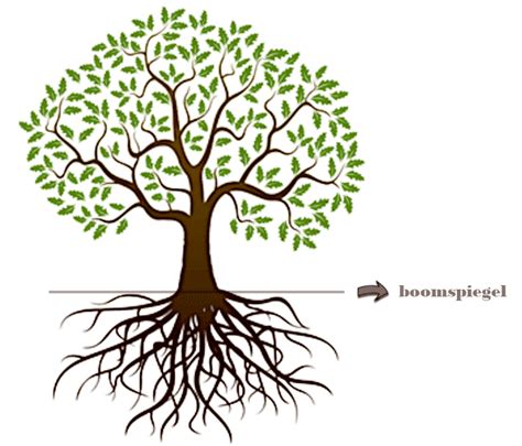 Visualisatie van een boom met diepe wortels, symbool voor ontworteling en voeding