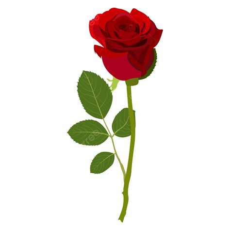 Illustratie van een roos die bloeit in de winterse sneeuw, met een subtiele verwijzing naar de geboorte van Christus.