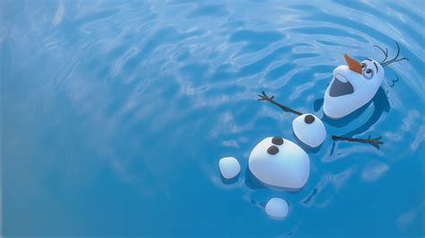 Docentenprofielen en achtergronden